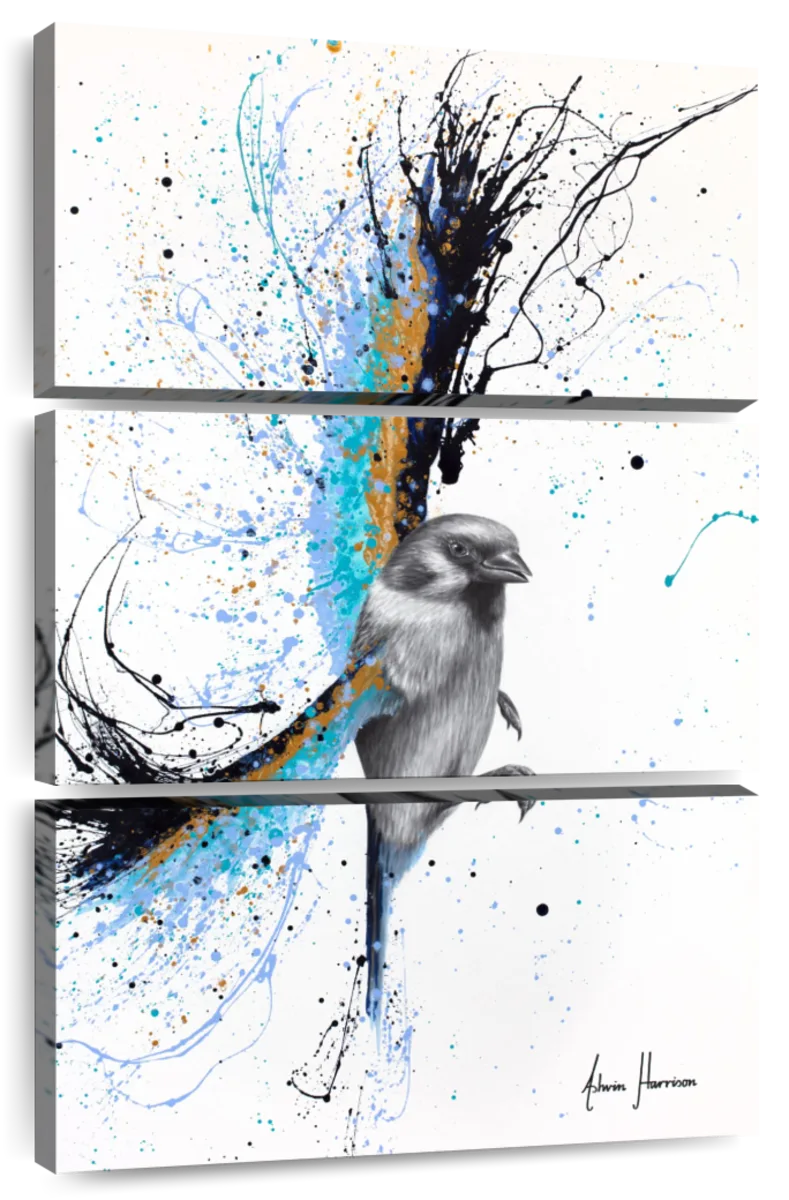 Blue Jay Bird print by Ashvin Harrison