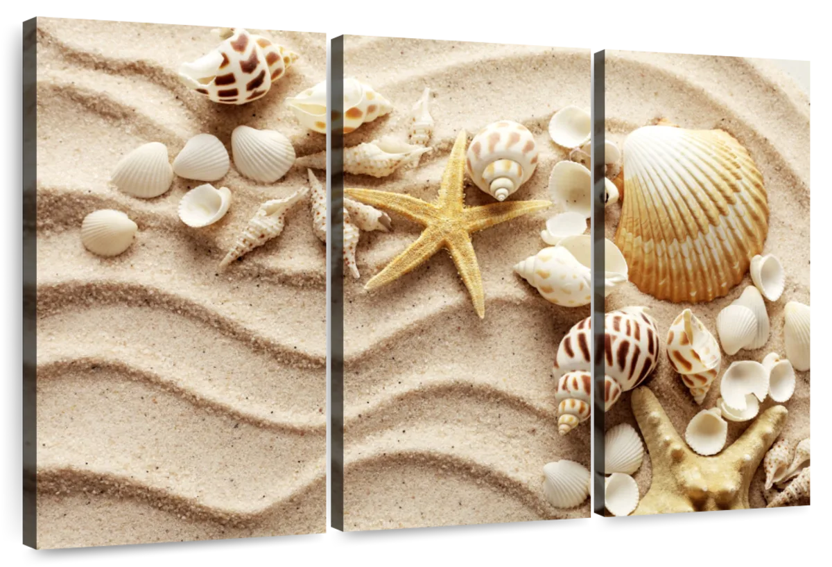 Wall Art Print, Seashells