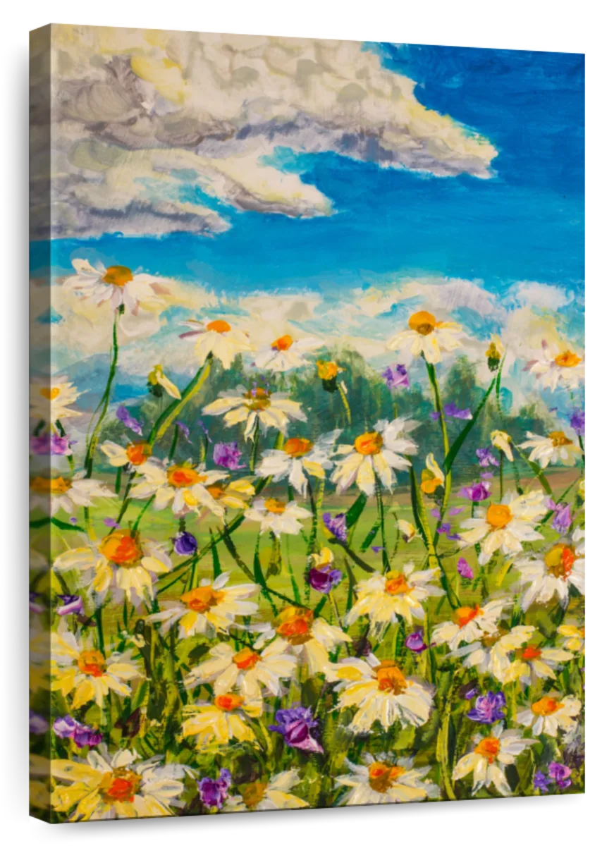 Summer field with white daisies under blue sky For sale as Framed