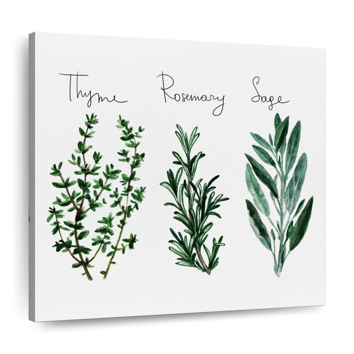 https://cdn.shopify.com/s/files/1/1568/8443/products/8zz_es_qf6_layout_1_square_thyme-rosemary-sage-wall-art.webp?v=1668723179