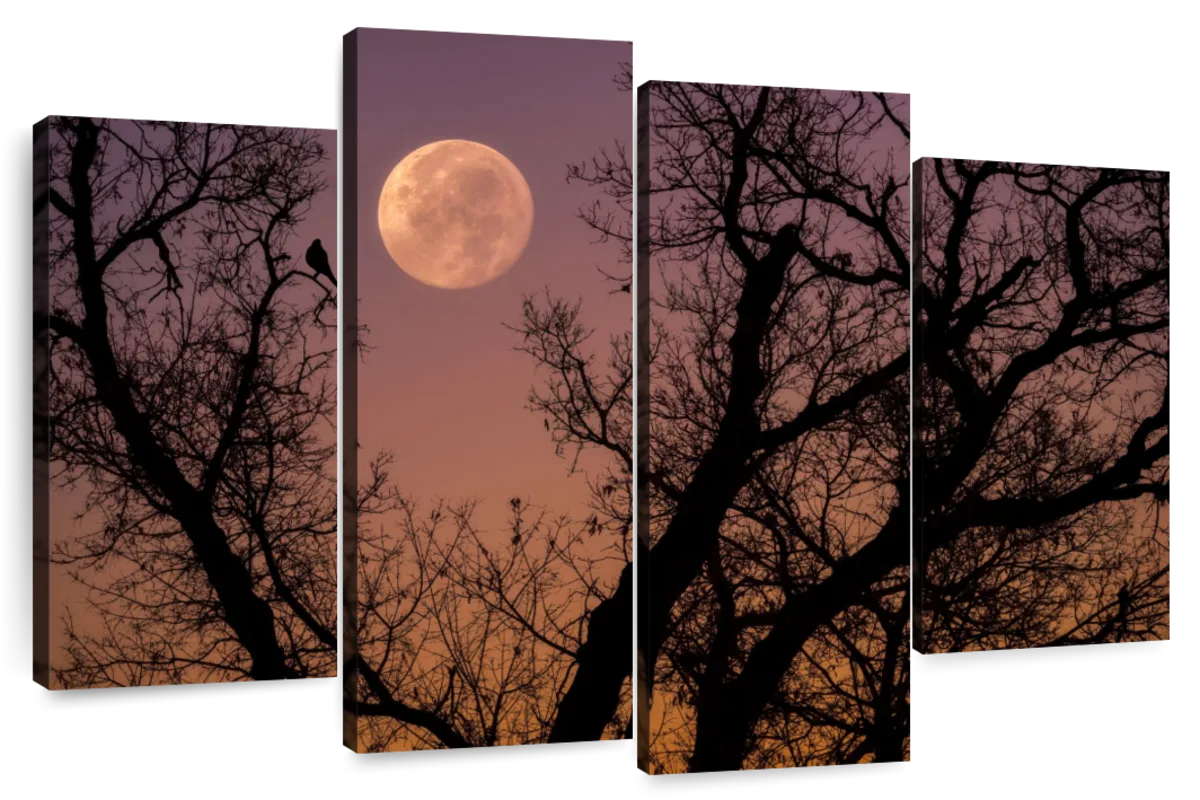 Cloudy moonset | The moon was setting across the valley, abo… | Flickr