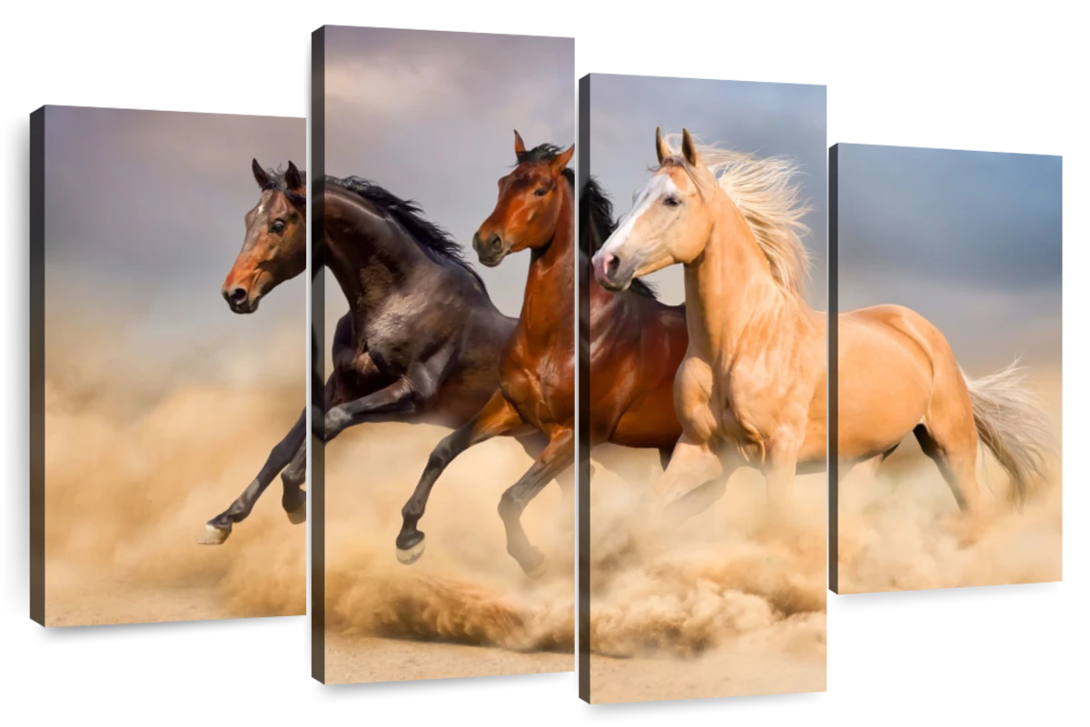 Speeding Stallion Horses Wall Art | Photography