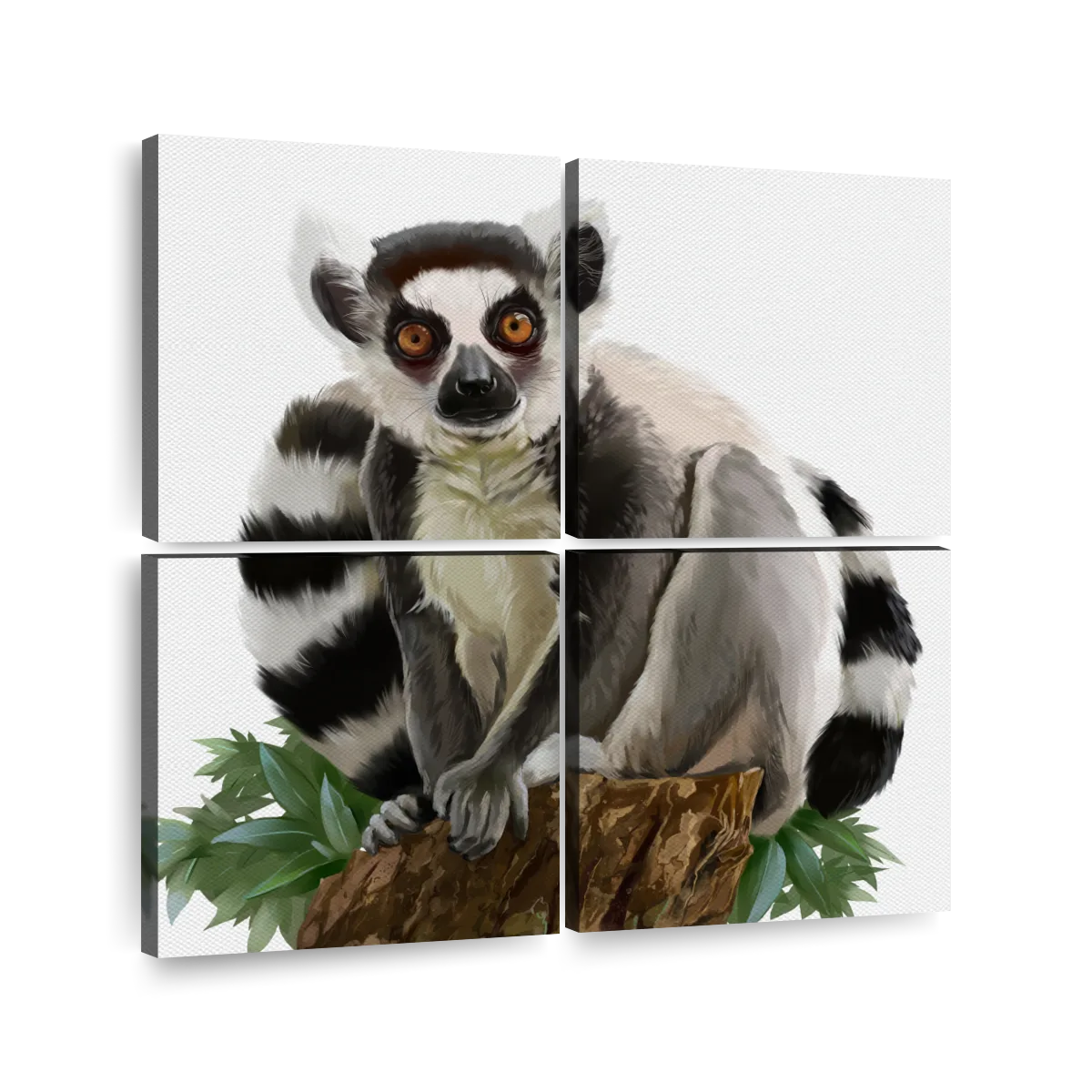 Ring Tailed Lemur Animal Diamond Painting 