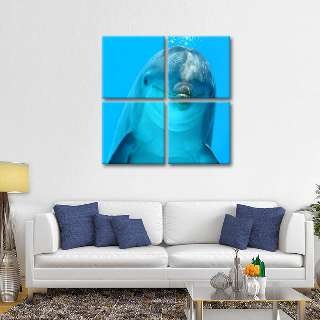 Dolphin Encounter Wall Art | Photography