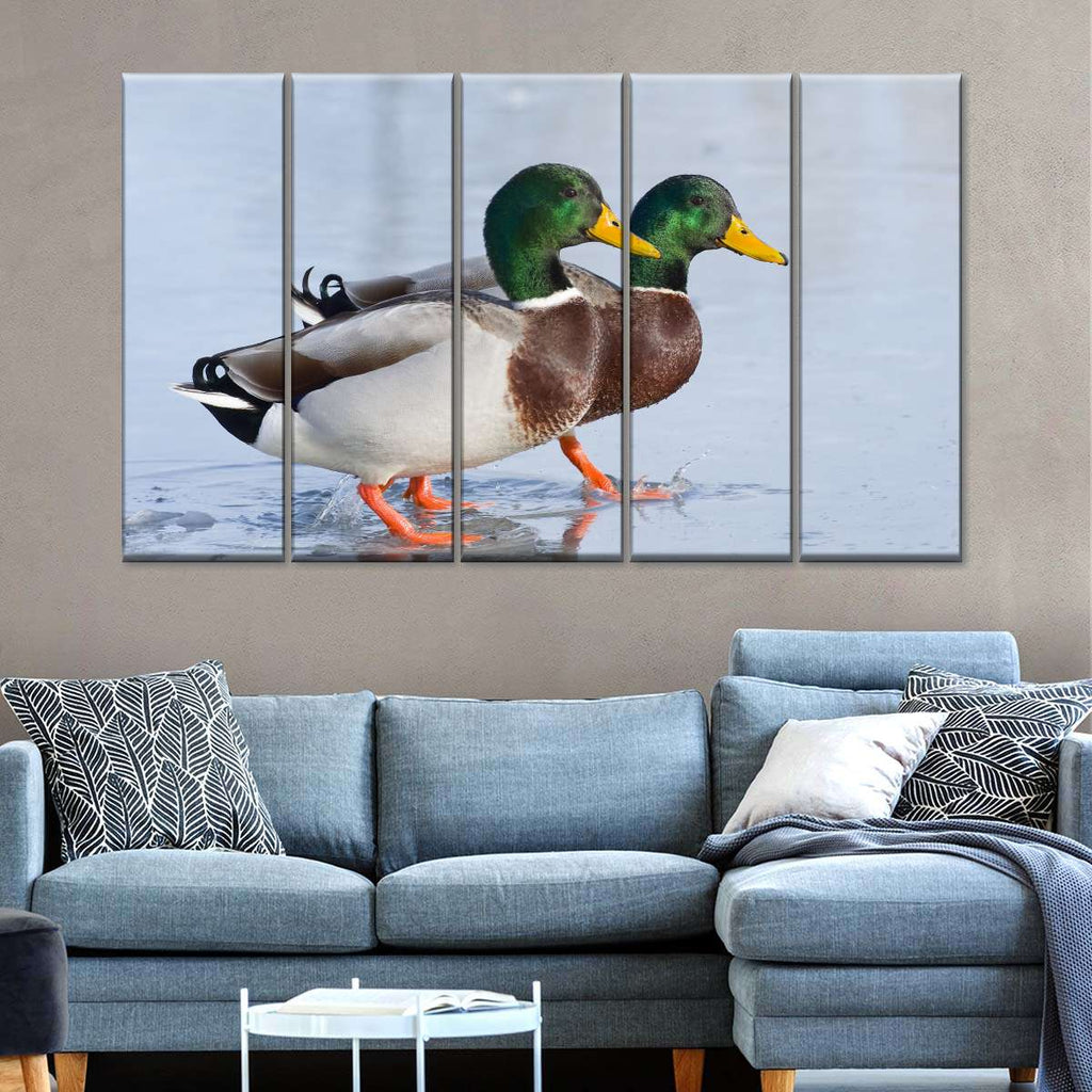 Mallard Duck Duo Wall Art | Photography