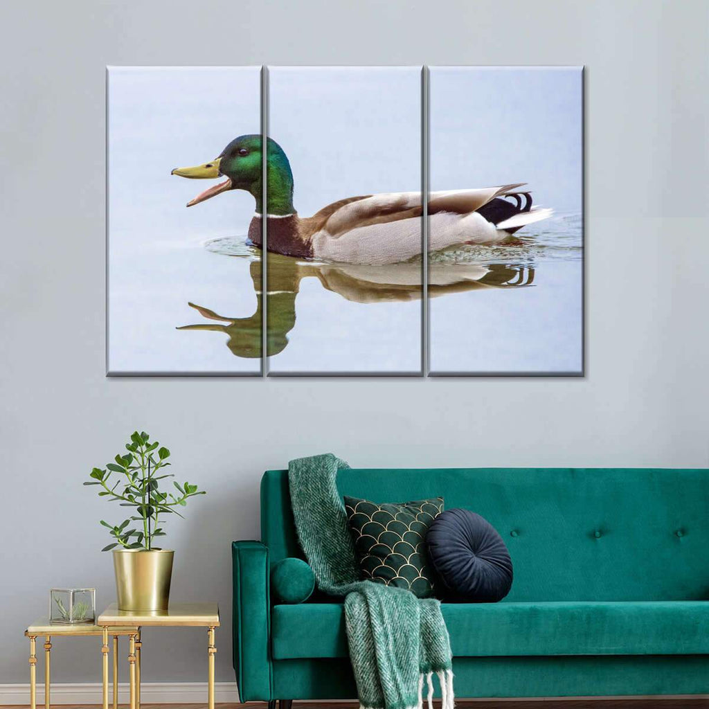 Floating Mallard Duck Wall Art | Photography