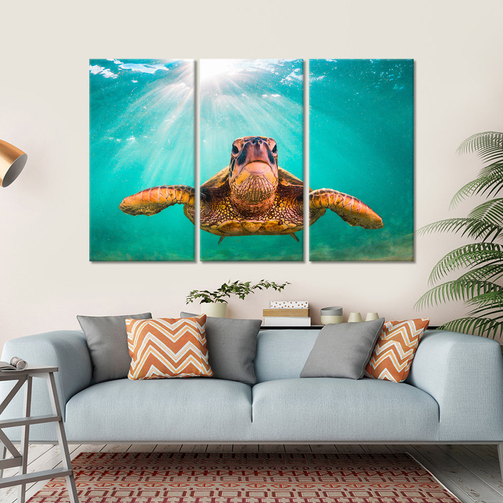 Sea Turtle Multi Panel Canvas Wall Art | ElephantStock