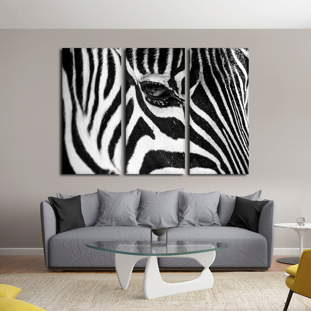 Zebra Eye Wall Art | Photography