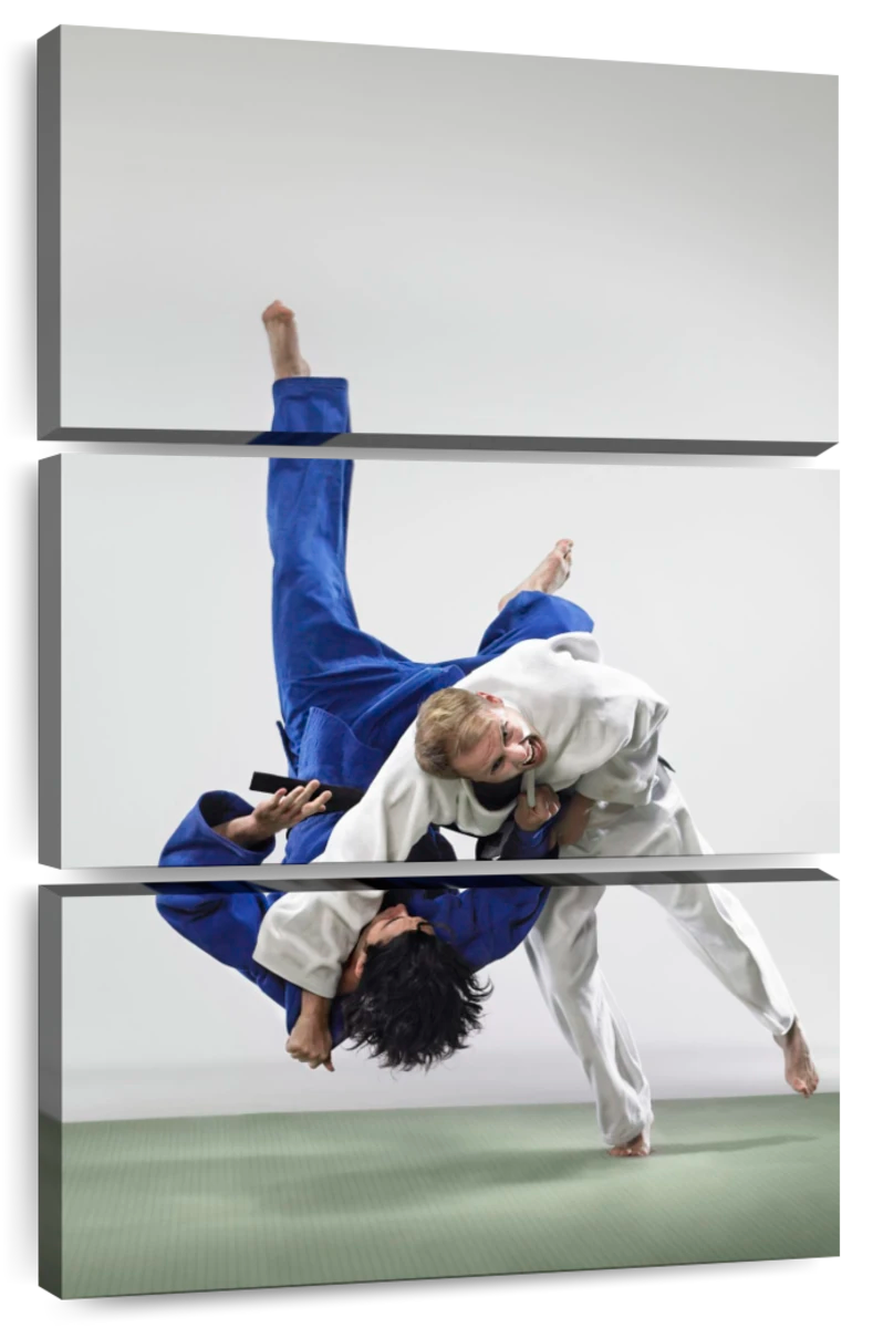 Judo HD wallpapers | Pxfuel