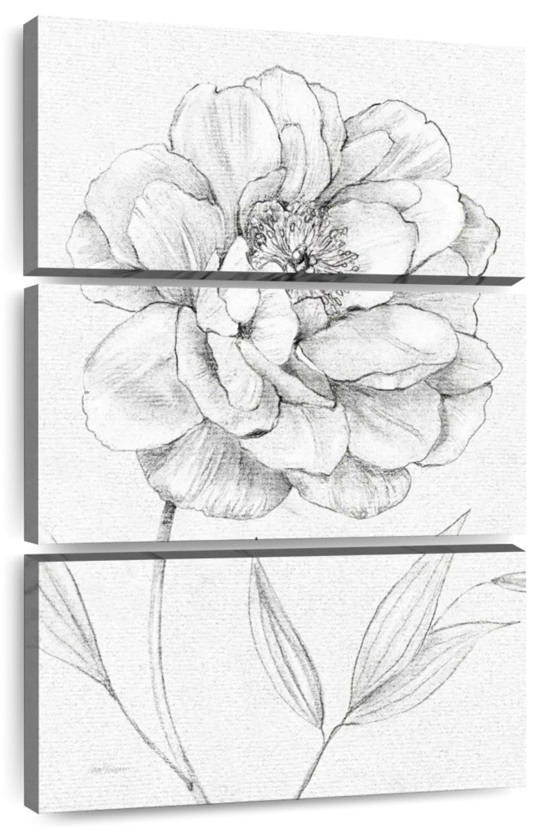 Flower Sketch Canvas Print