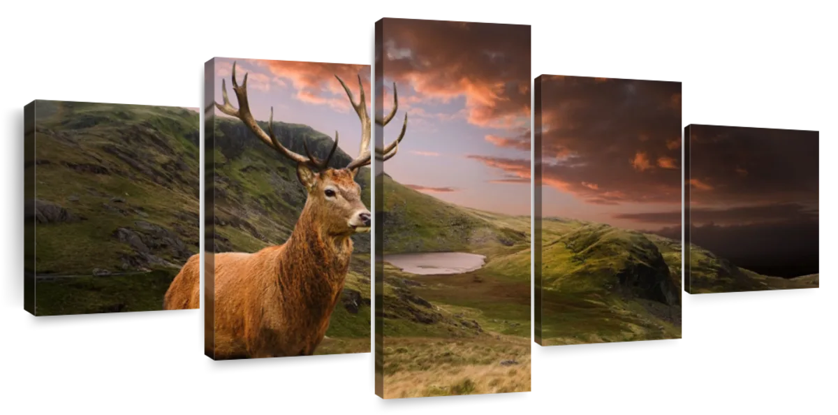 Deer Sunset Silhouette Wall Art