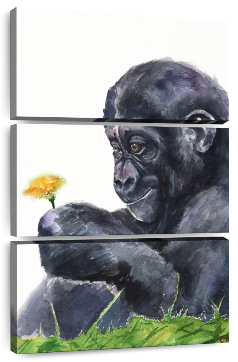 Latitude Run® Little Girl Offering Banana To Gorilla Pictures Of Gorillas  Poster Primate Poster Gorilla Picture Paintings For Living Room Decor  Nature Wildlife Art Print Black Wood Framed Art Poster 20X14