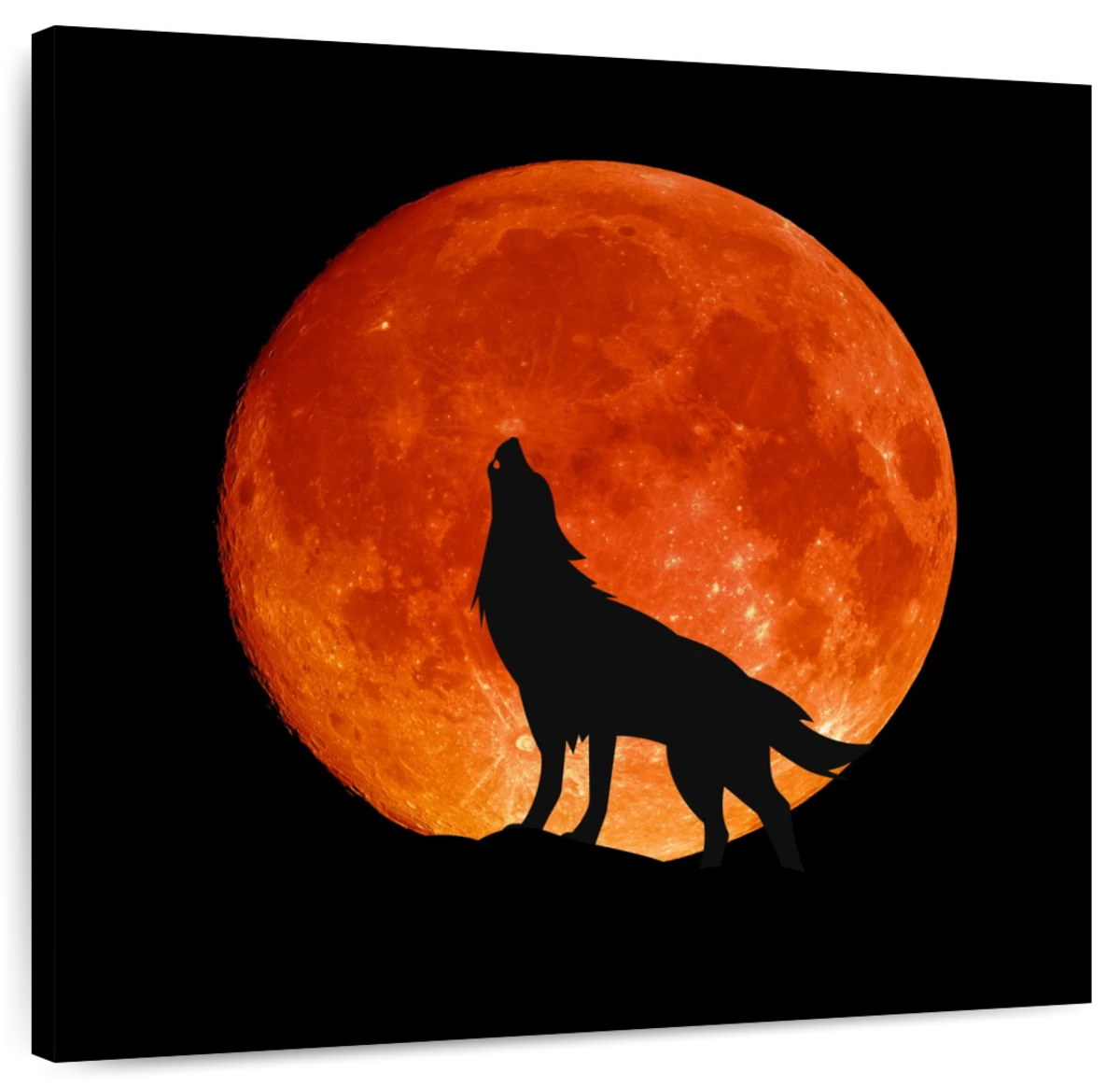 wolf howling at full moon drawing