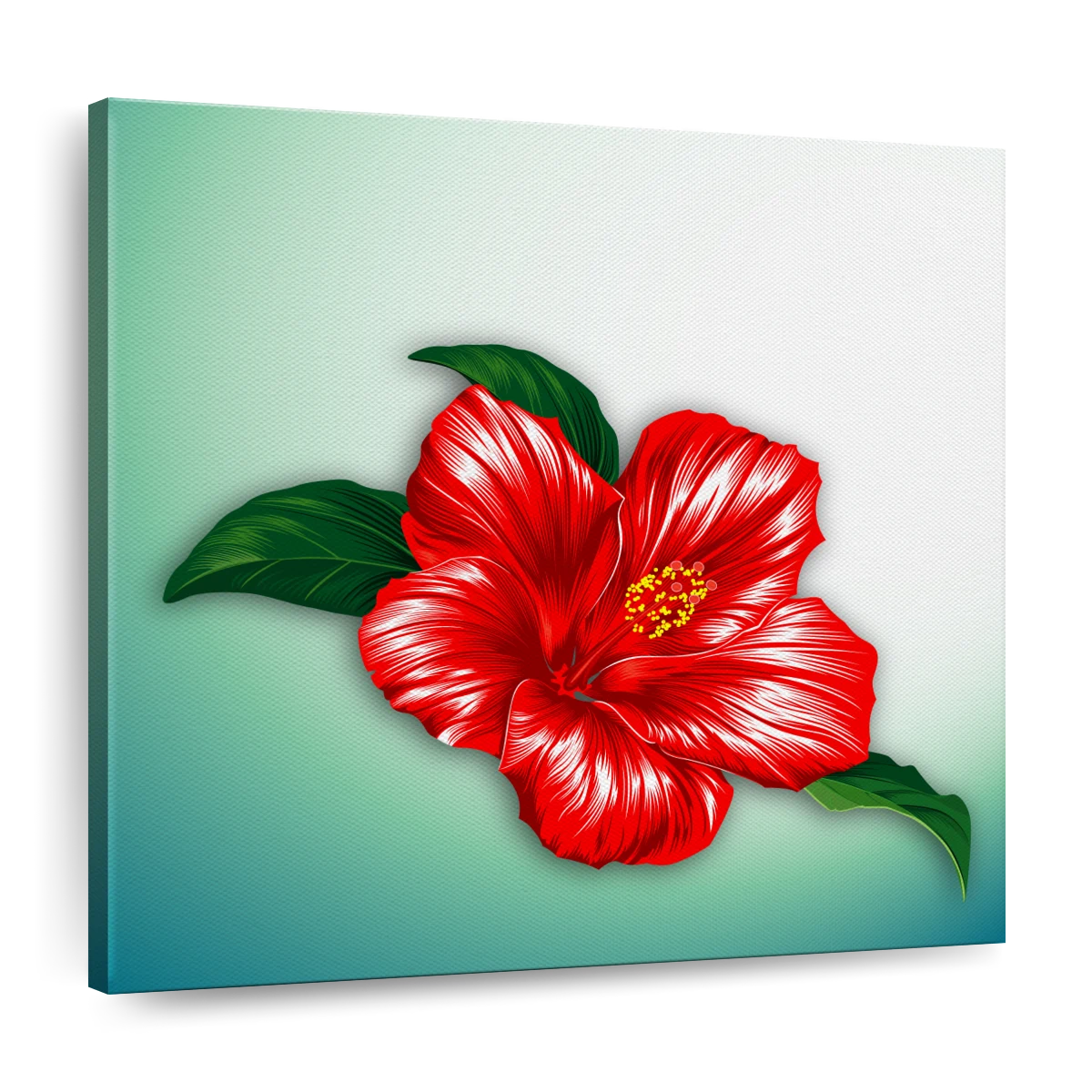 hibiscus plant drawing