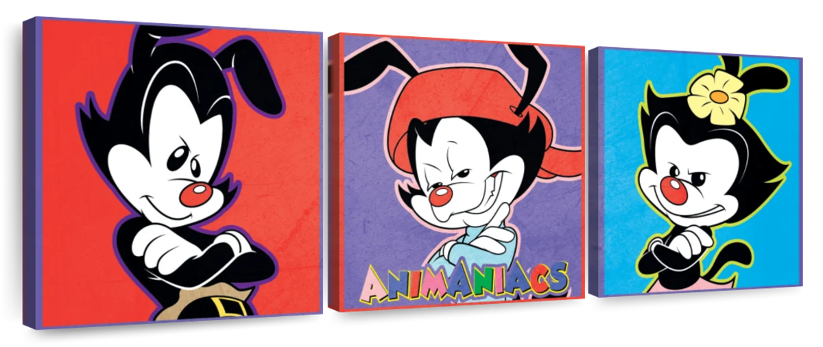 animaniacs yakko wakko and dot