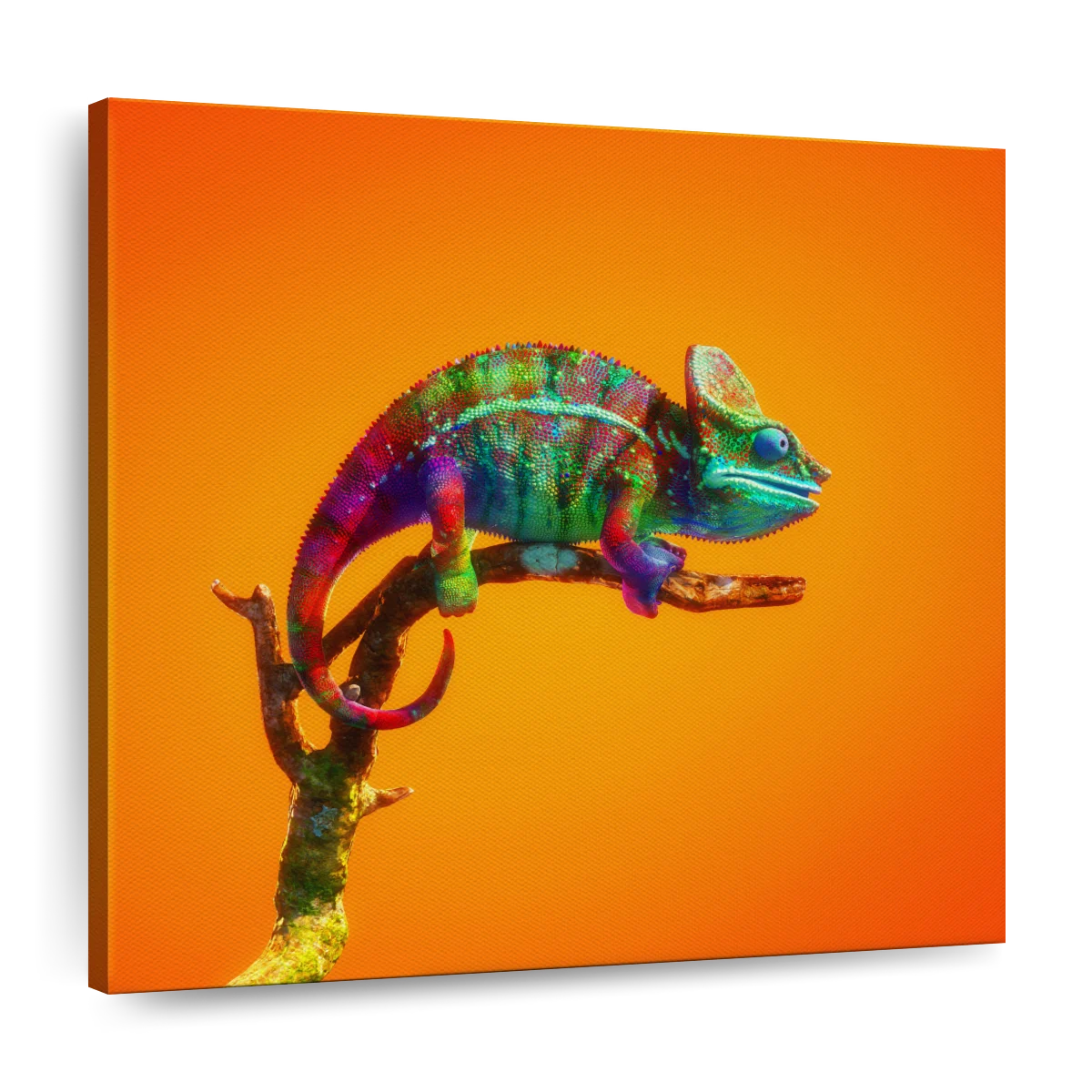 colorful chameleon art