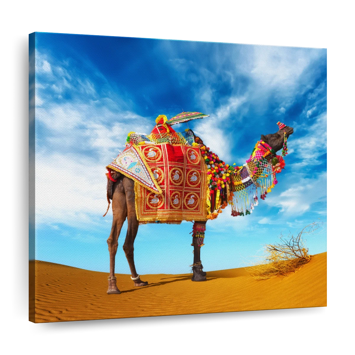 Indian Man Holding Camel On Sand Dunes Rajasthan India Stock Photo -  Download Image Now - iStock