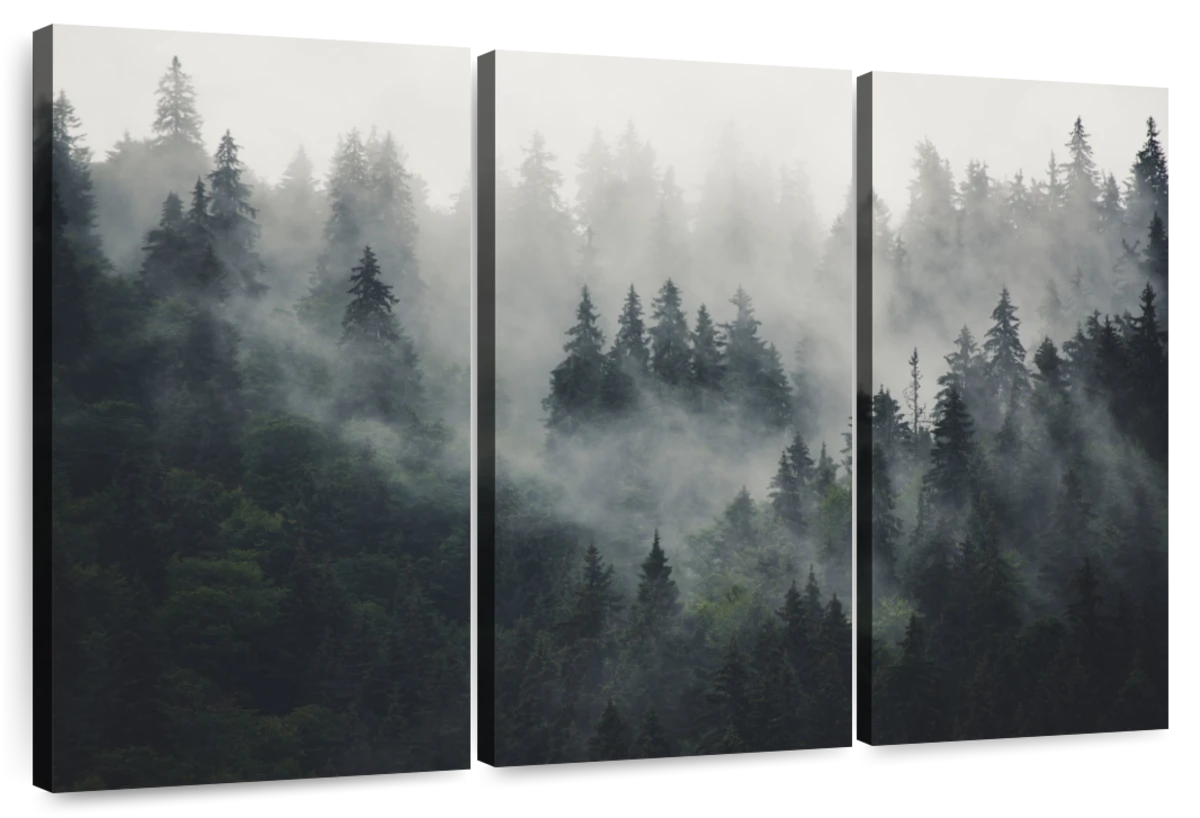 Misty Forest Mountain Wall Art | Photography