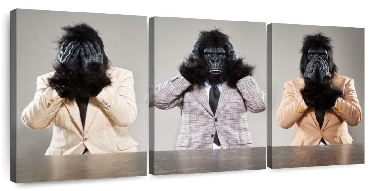 Three Wise Gorillas Wall Art | Photography