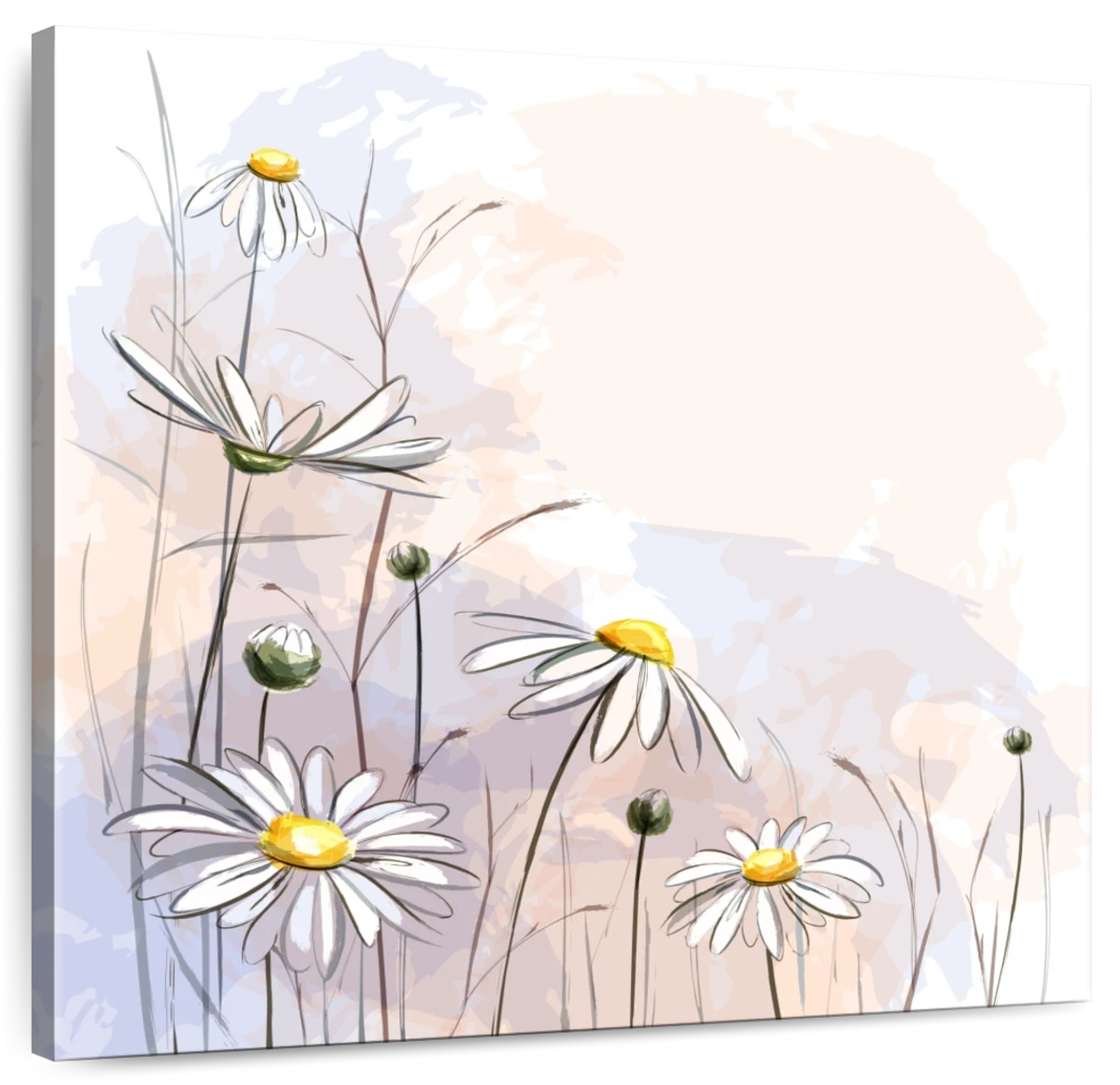 Daisy Wall Art & Prints Art | Drawings Photograph Paintings