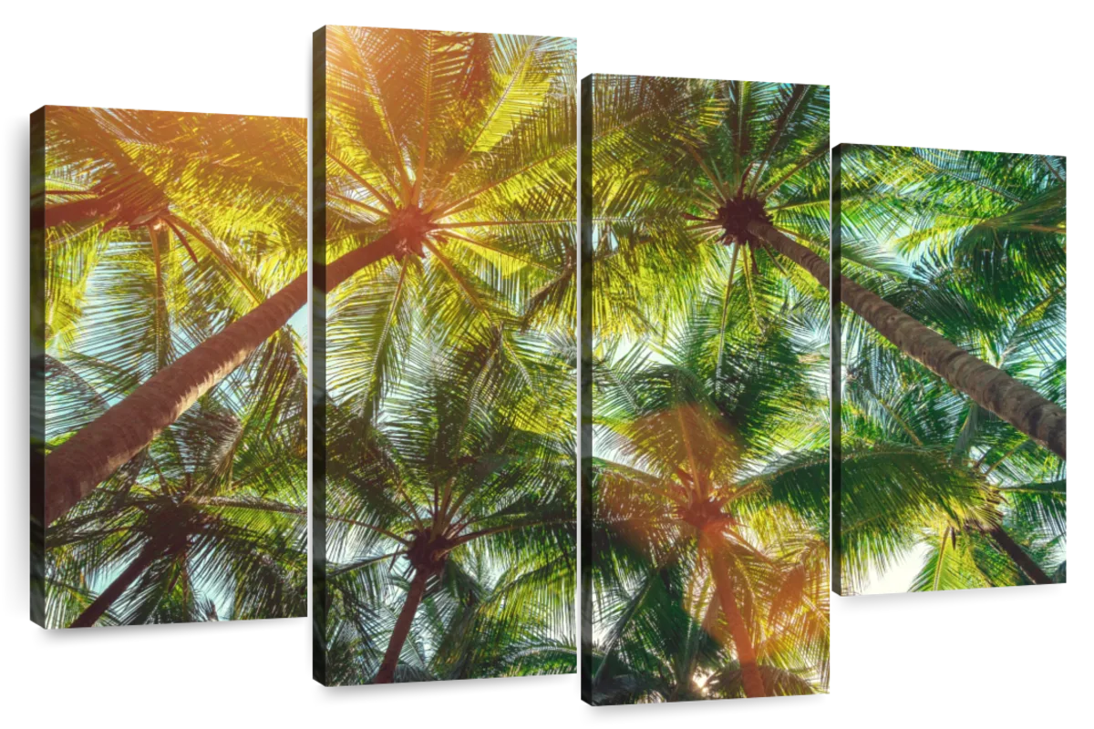 Sunrays Coconut Trees Wall Art | Photography