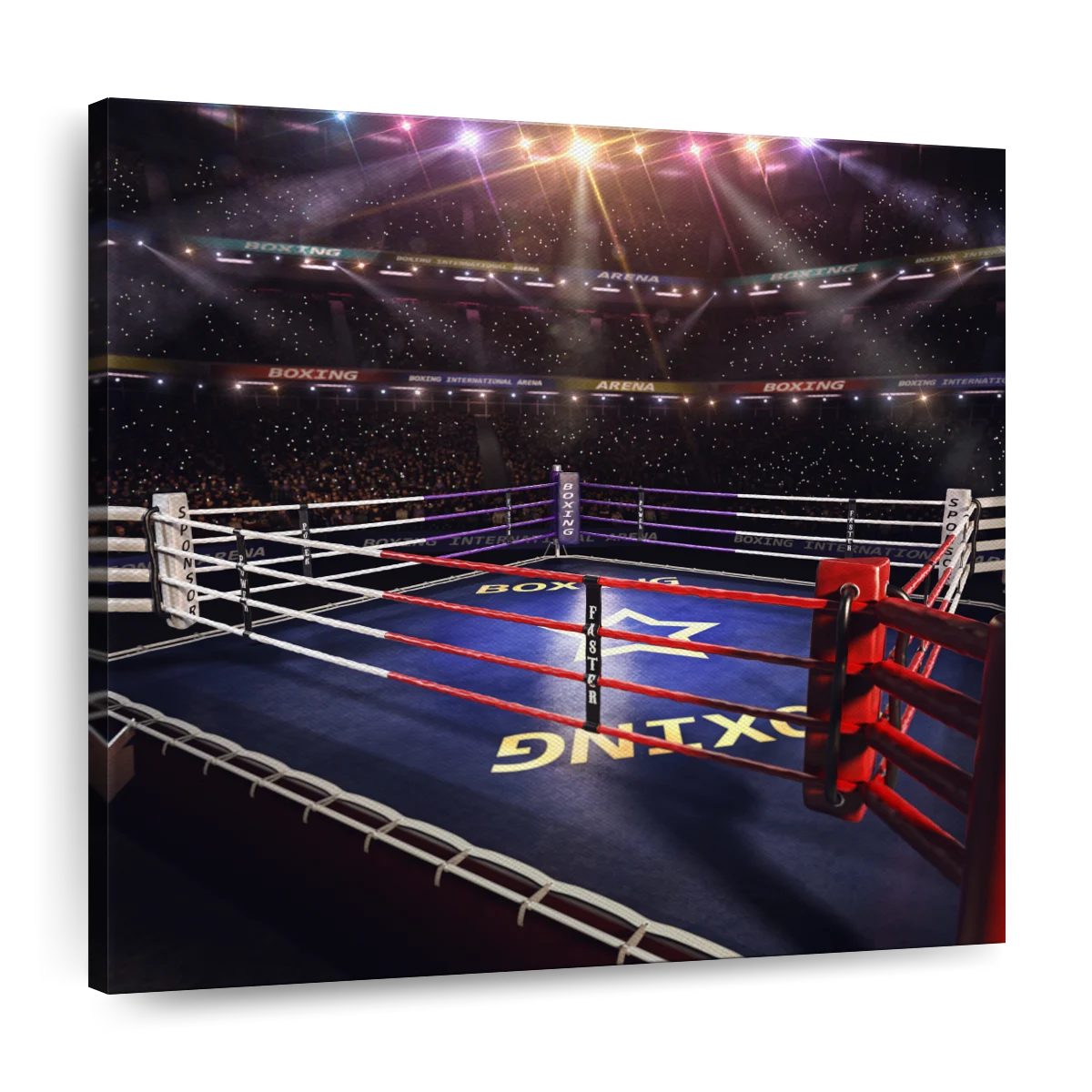 Koala In Boxing Ring Canvas Print by Roisin & Isabella Designs - Fy