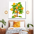 Apricot tree 