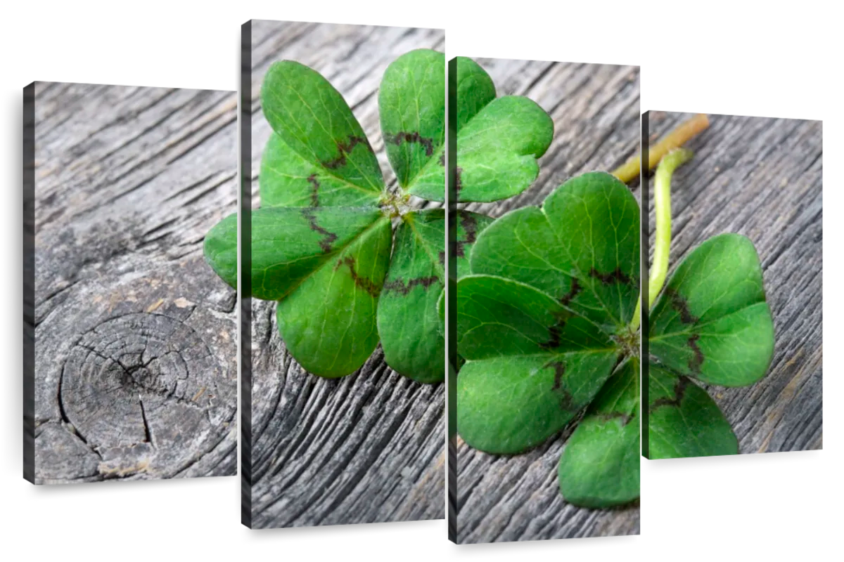 shamrock cluster png