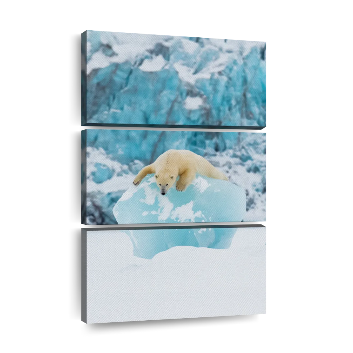 Polar Bear On Iceberg Wall Art | Photography