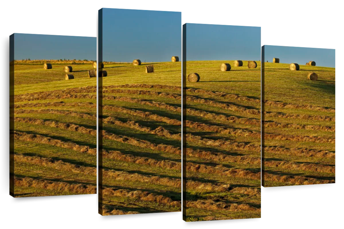 Scattered Hay Bales Wall Art | Photography | by marty hulsebos