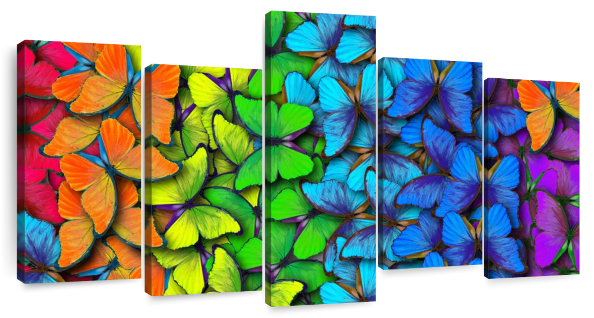 Colorful Butterfly Swarm Wall Art | Photography