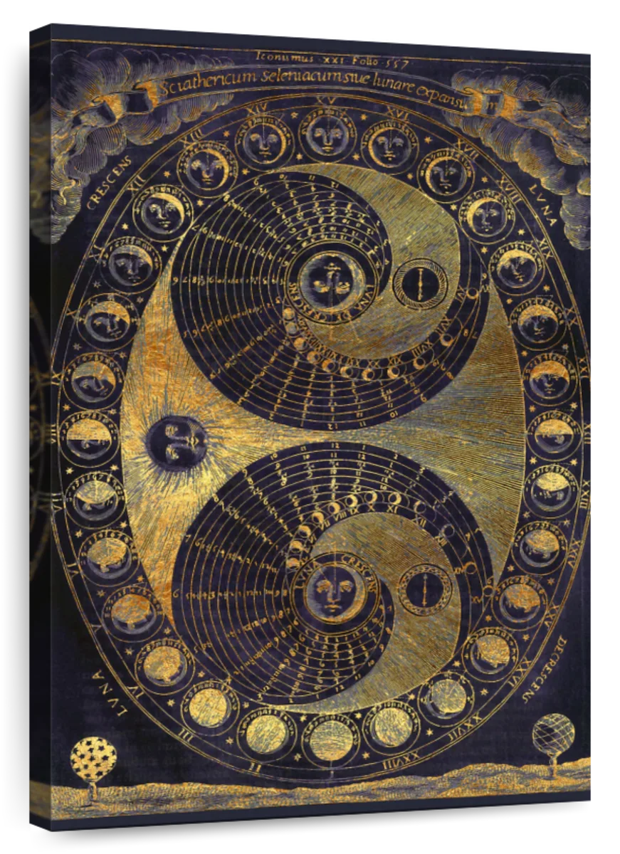never ending spiral art nouveau style biology poster