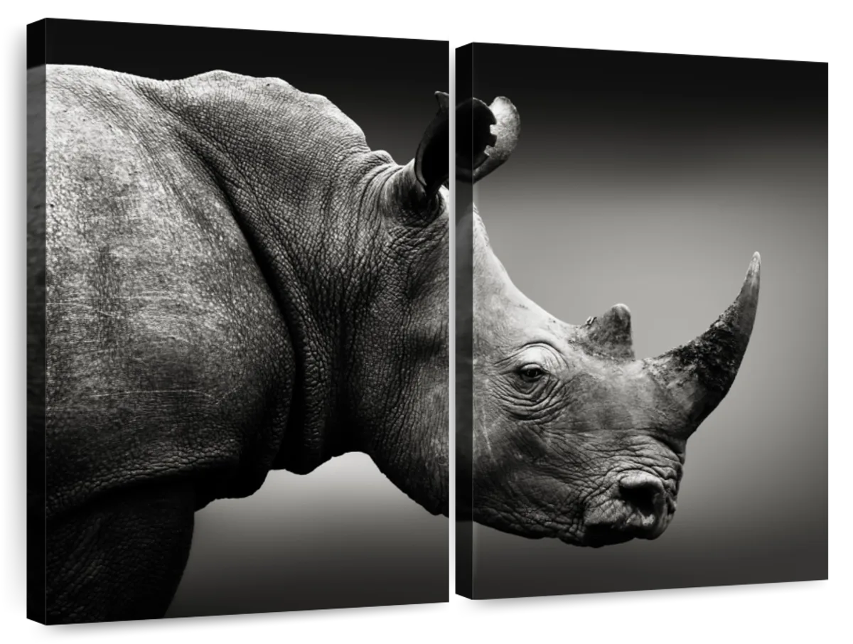 Black And White Rhino Wall Art