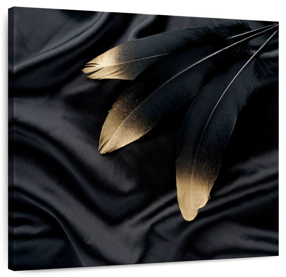 Gold Tipped Feathers Art: Canvas Prints, Frames & Posters