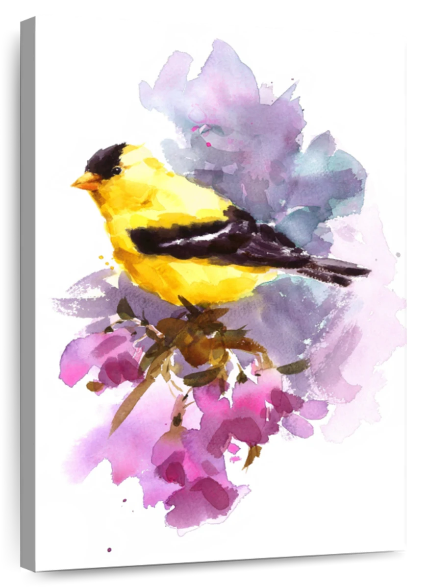 goldfinch and posters