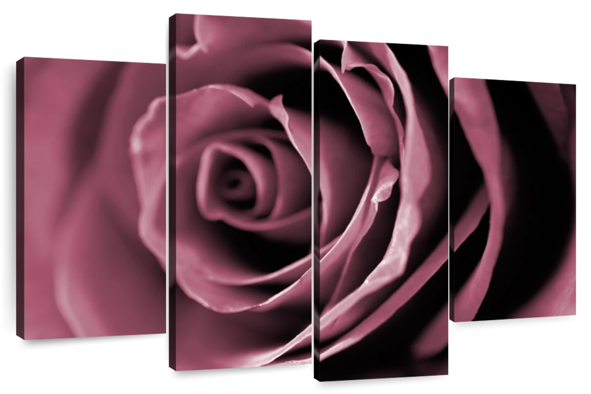Dusty Pink Rose Wall Art | Photography