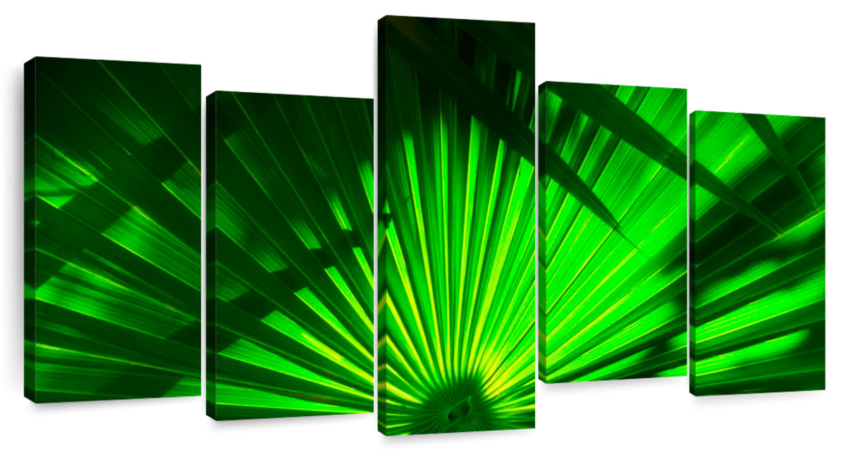 Mexican Palm Leaves Wall Art | Photography