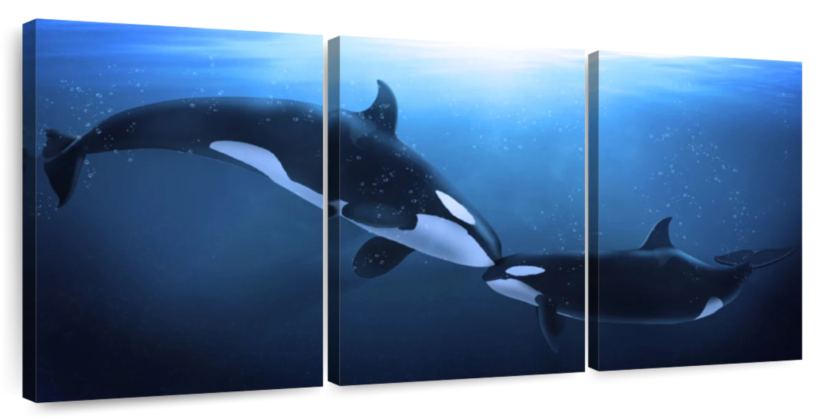 Kissing Orcas Wall Art | Digital Art