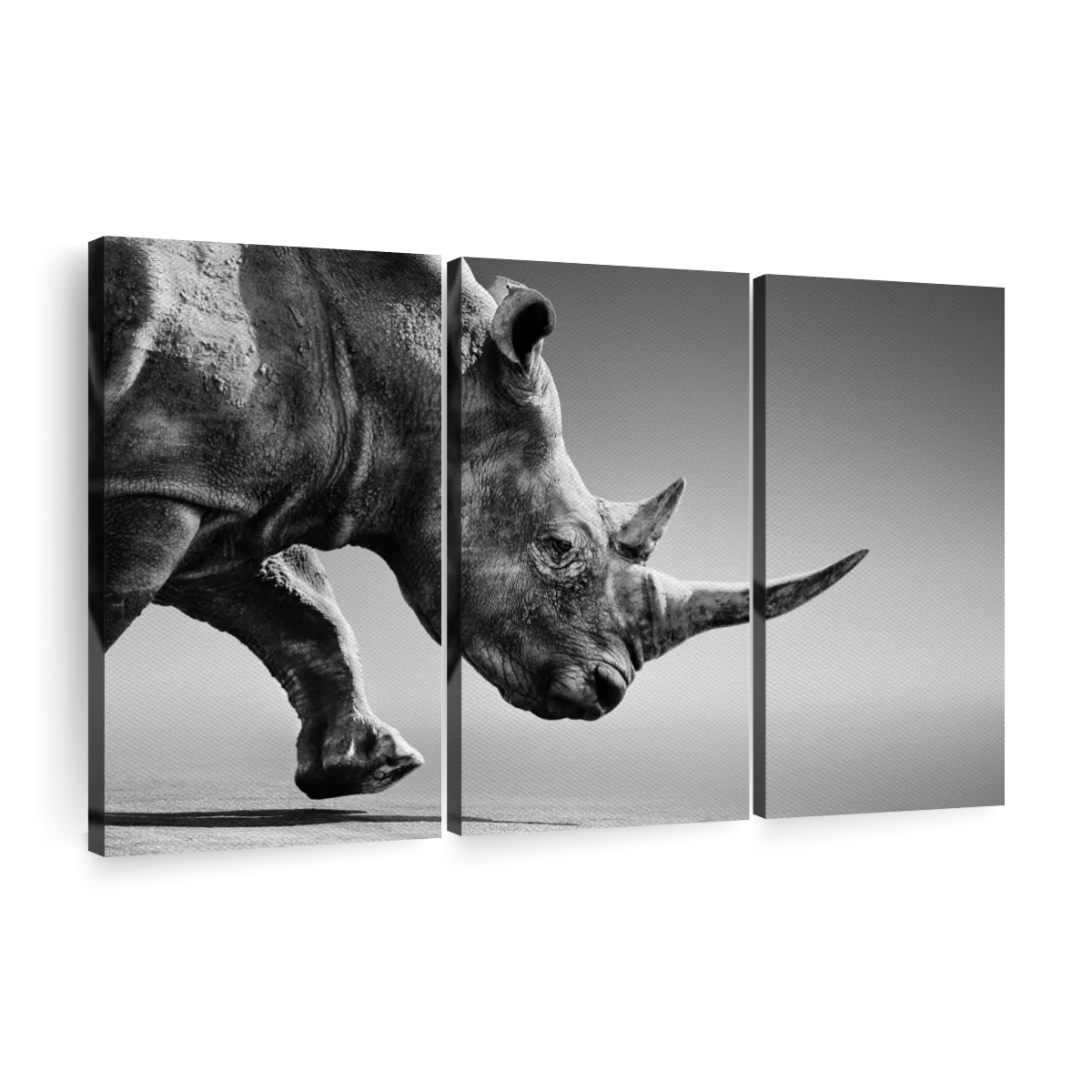 Monotone Rhino Art: Canvas Prints, Frames & Posters