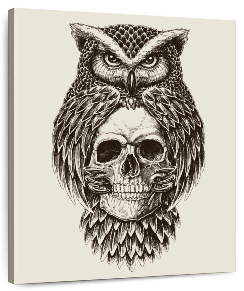 owl and skull tattoo