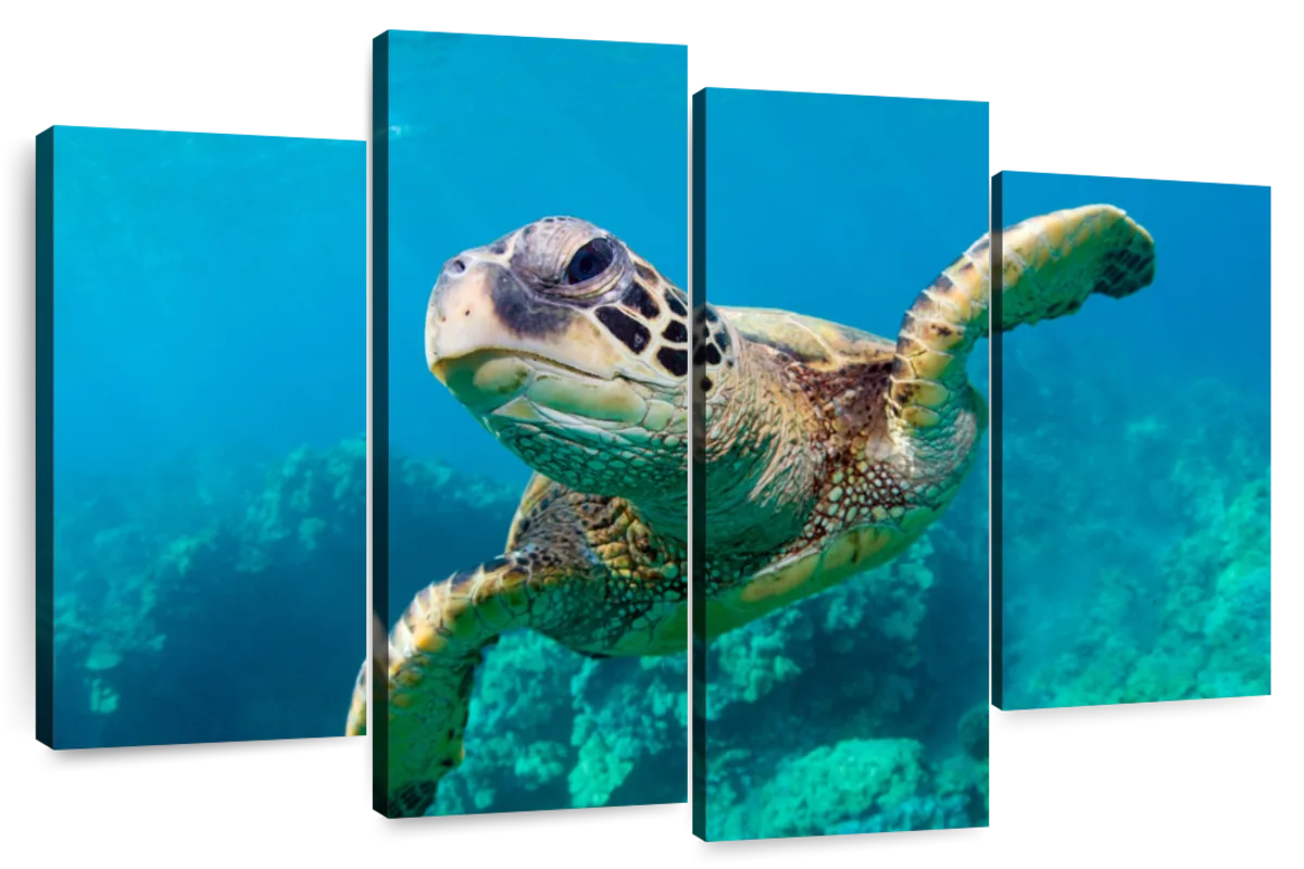 hawaiian sea turtles art