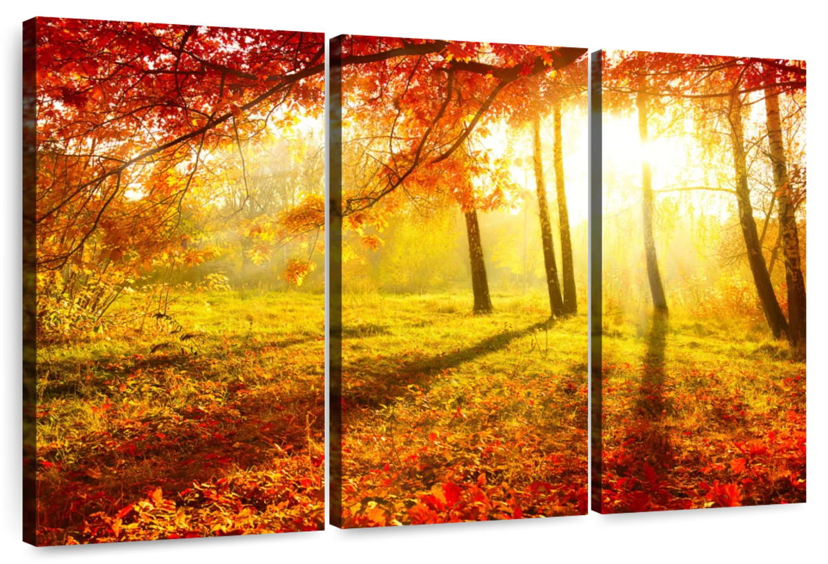 Bright Fall Landscape Wall Art | Photography