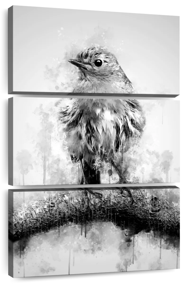 black and white paintings of birds