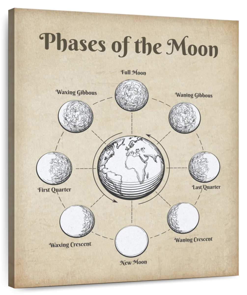Phases of the Moon Poster