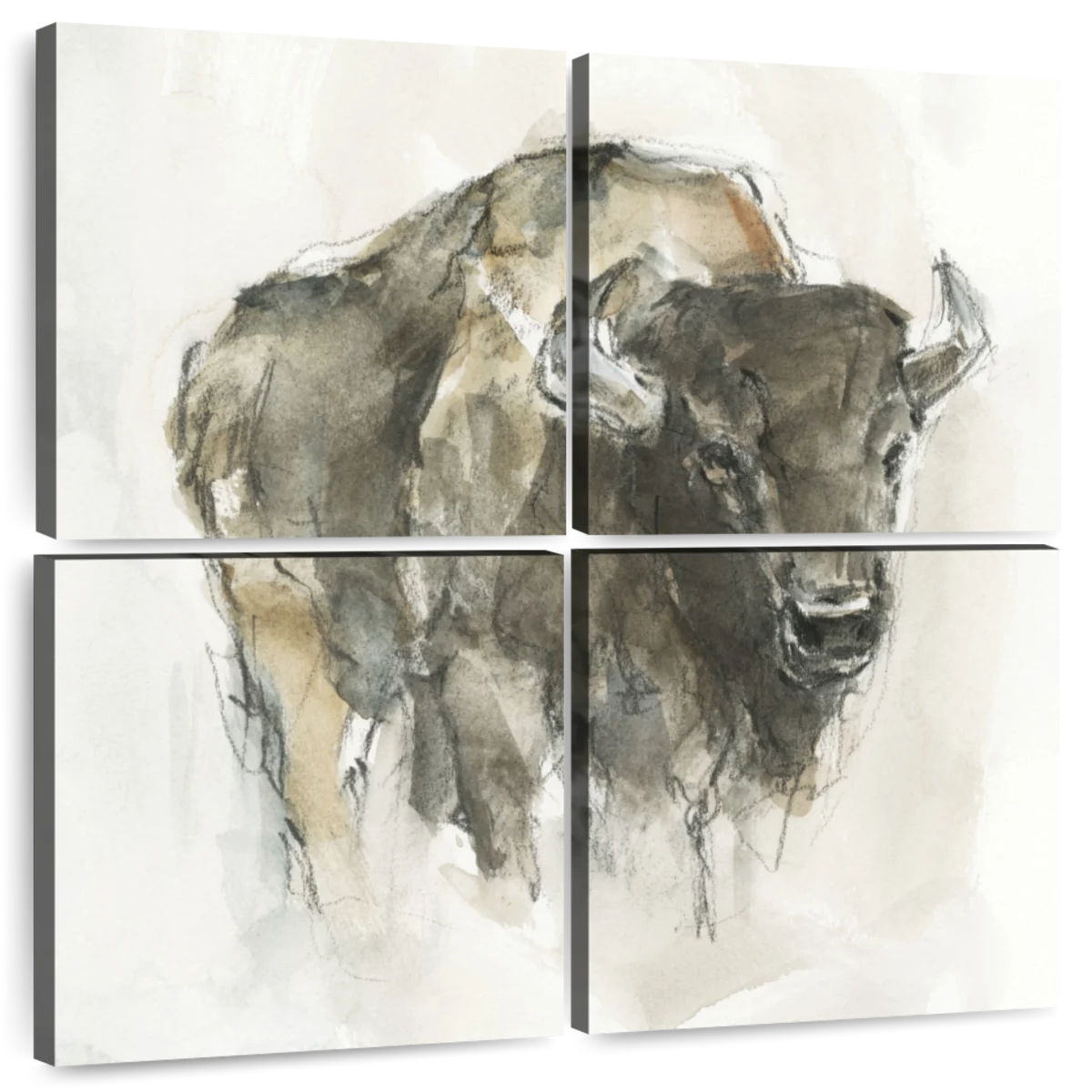 American Buffalo I Wall Art Watercolor by Ethan Harper