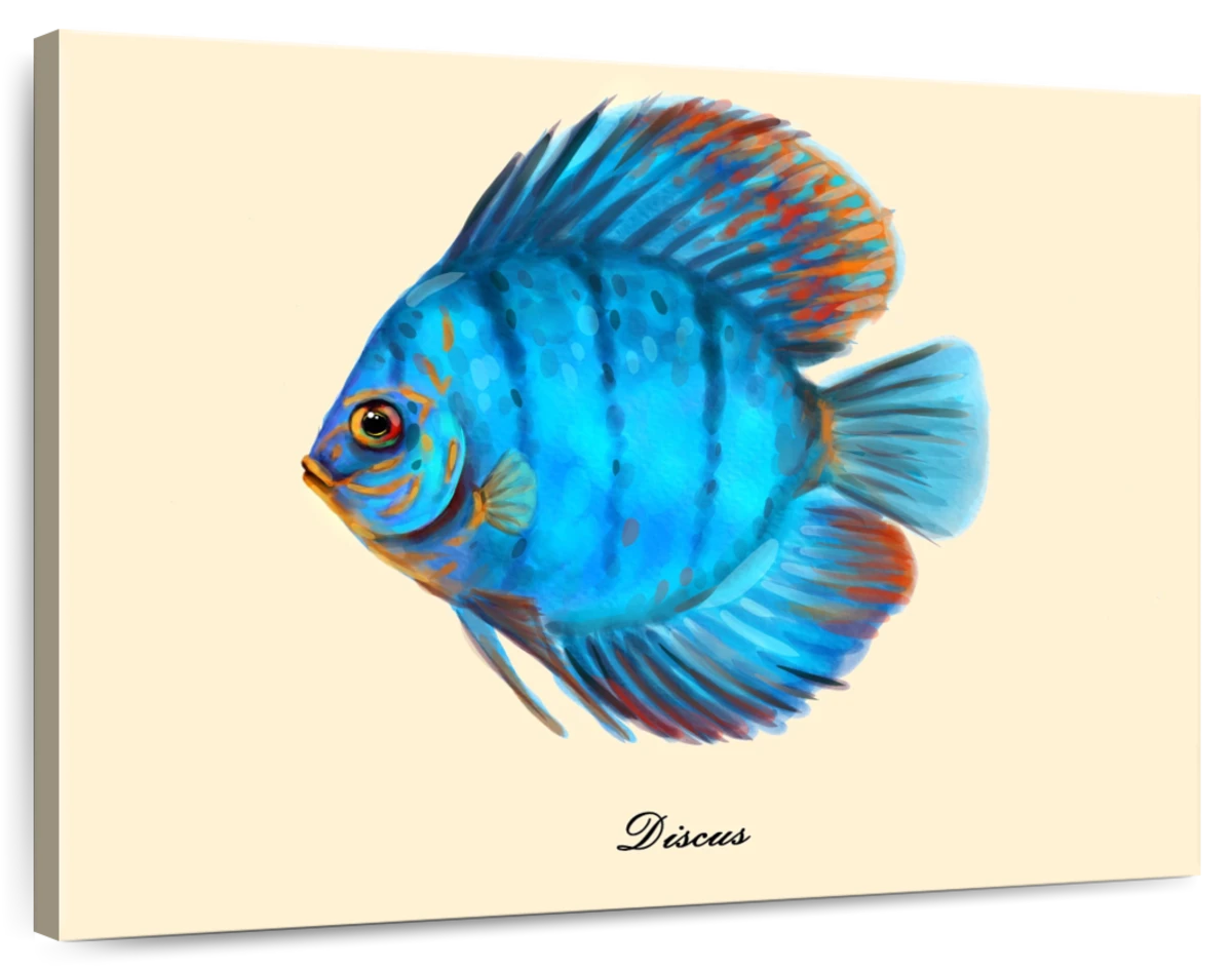 Discus Fish Keeper Aquarium Hobby Poster for Sale by JRRTs