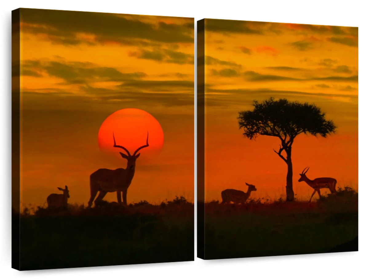 African Sunset