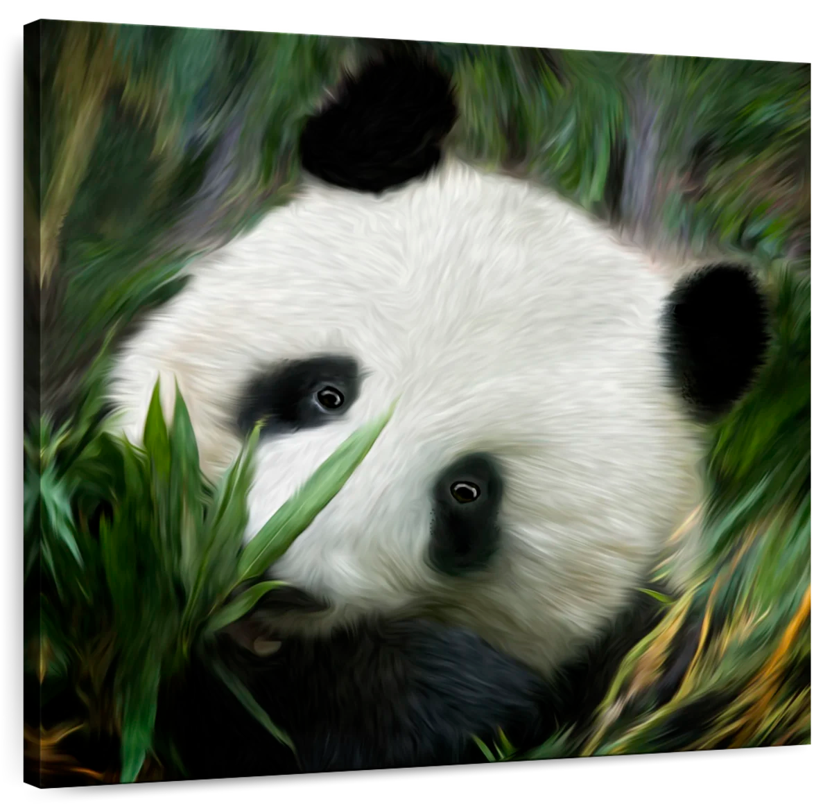 giant panda face