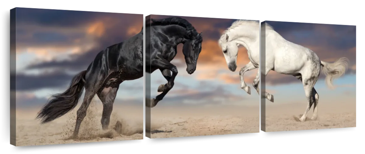 Horse Battle Art: Canvas Prints, Frames & Posters