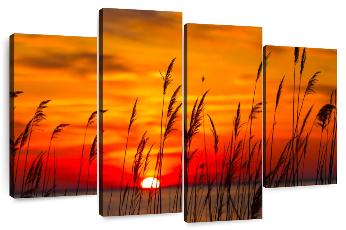 Chesapeake Bay Sunrise Wall Art | Photography